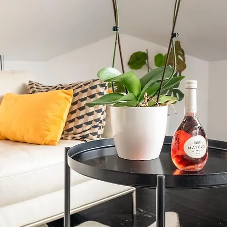 Stylish Penthouse W Terrace By Porta85 Apartment